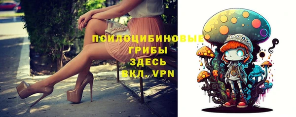 не бодяженный Алзамай